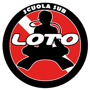 logolotoasd300x300 logolotoasd300x300