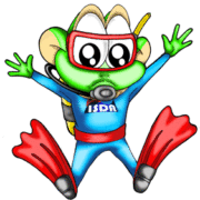 corsi-bolla_froggy